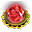 Element Çiçeği