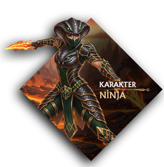 Karakter Ninja